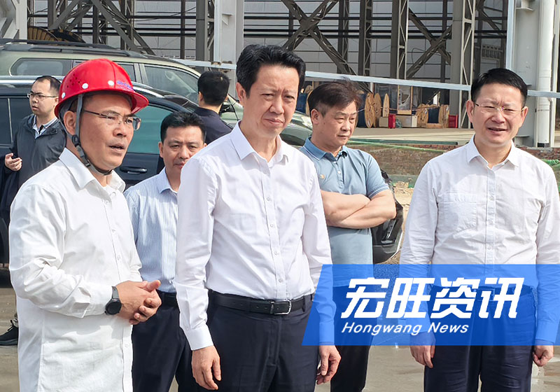 广西自治区工业和信息化厅党组书记、厅长袁煌一行莅临广西宏旺调研