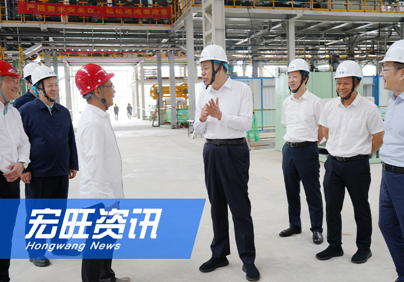 广西壮族自治区党委常委、自治区常务副主席许永锞一行莅临广西宏旺调研